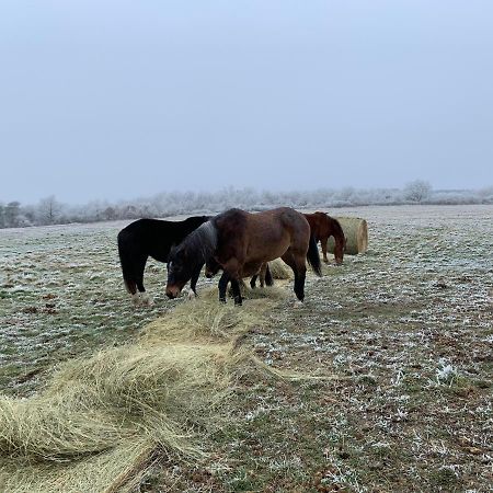 Chambres D Hote A La Ferme Des Buttons, Chambre Iris Rosnay  Dış mekan fotoğraf